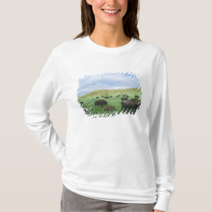 Herd of bison graze prairie grass at Theodore T-Shirt