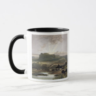 Herd of Bison on the Upper Missouri, plate 40 from Mug