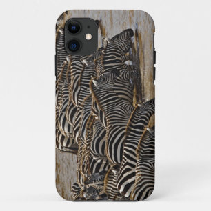 Herd of Burchell's Zebras drinking from Mara Case-Mate iPhone Case