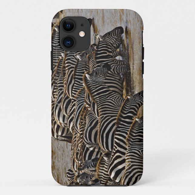 Herd of Burchell's Zebras drinking from Mara Case-Mate iPhone Case (Back)