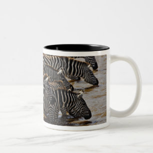 Herd of Burchell's Zebras drinking from Mara Two-Tone Coffee Mug