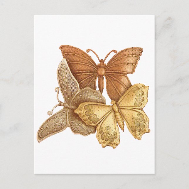 Herd of Butterflies Postcard (Front)