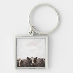 Herd of cattle and overcast sky 2 key ring