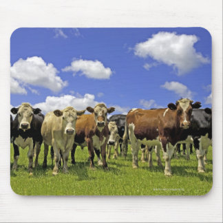 Herd of cattle and overcast sky mouse pad