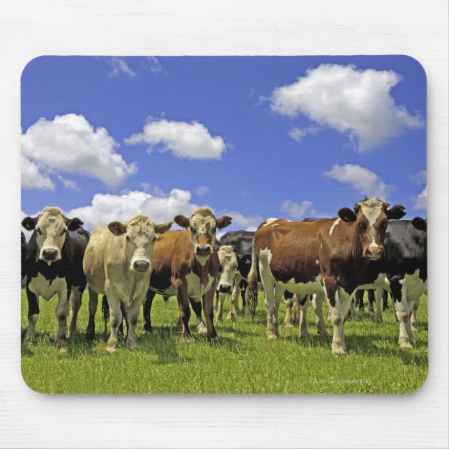 Herd of cattle and overcast sky mouse pad (Front)