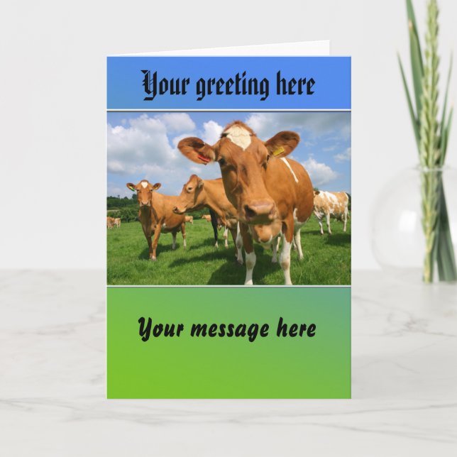 Herd of cows greeting card (Front)