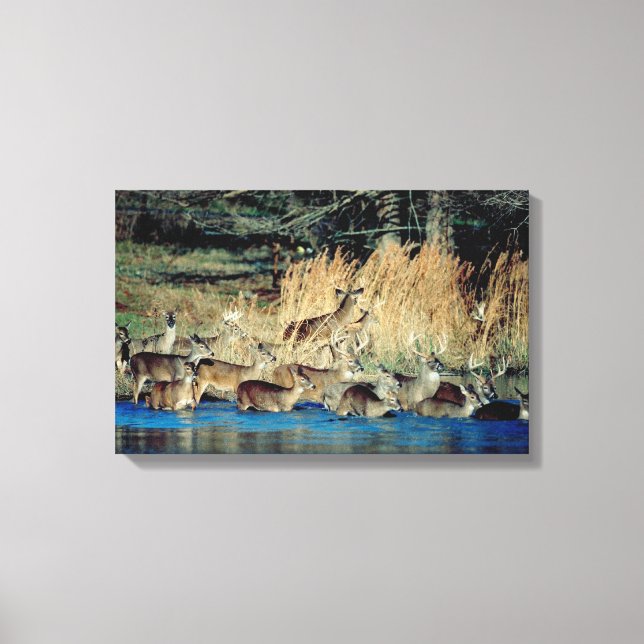 Herd of deer 2 canvas print (Front)