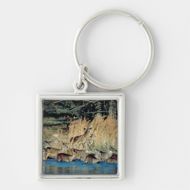 Herd of deer 2 key ring (Front)