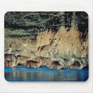Herd of deer 2 mouse pad