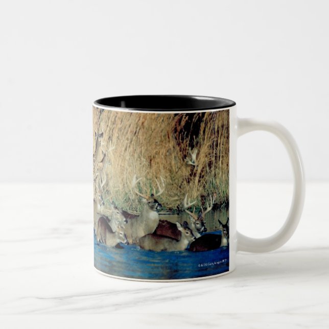 Herd of deer 2 Two-Tone coffee mug (Right)