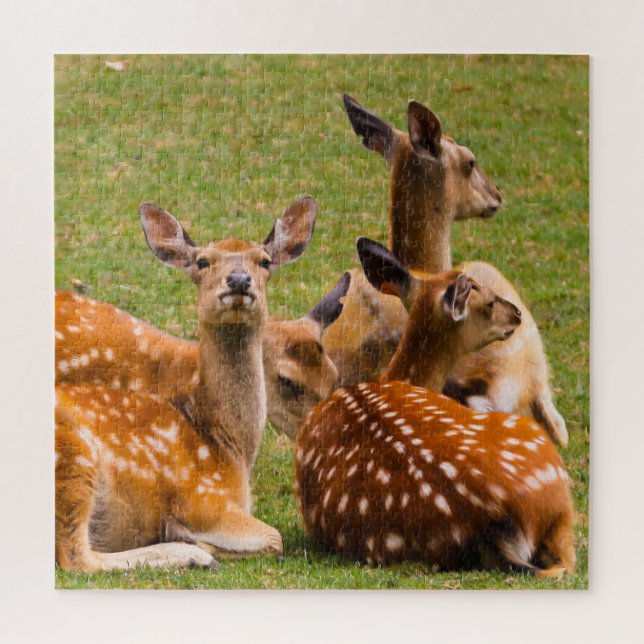 Herd of Deer in the Grass Jigsaw Puzzle (Vertical)