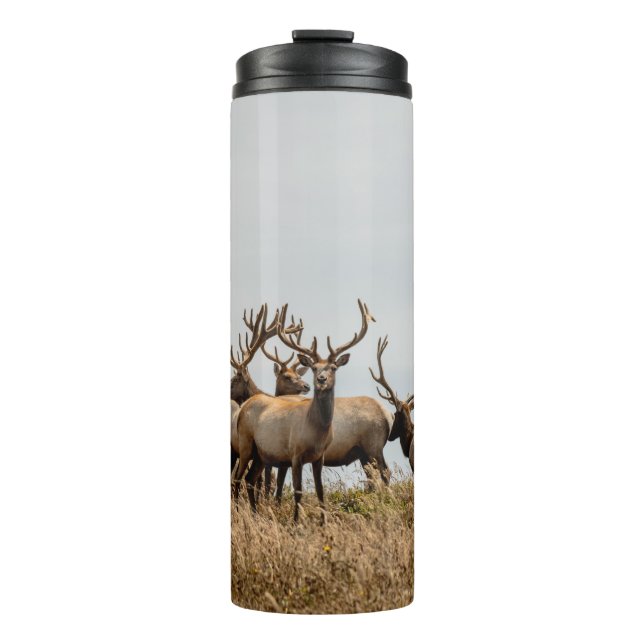 HERD OF DEER THERMAL TUMBLER (Front)
