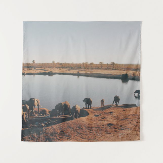 HERD OF ELEPHANT DRINKING WATER FROM LAKE TAPESTRY (Front)