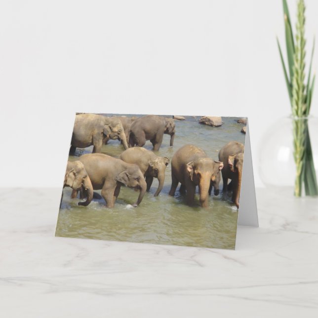 Herd of Elephants Greeting Cards (Front)