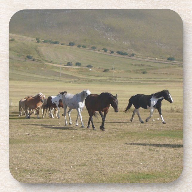 Herd of Horses Coaster (Front)