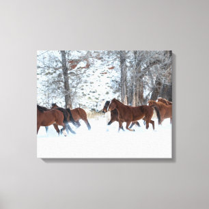 Herd of Horses Running in Snow Canvas Print