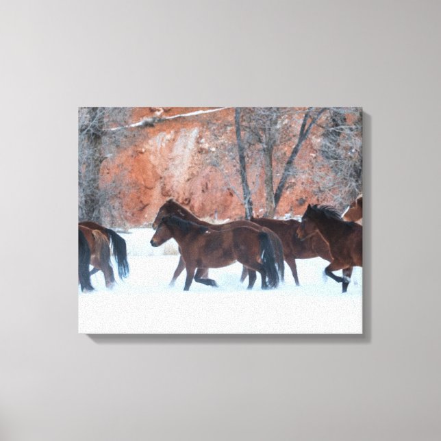 Herd of Horses Running in Snow Canvas Print (Front)