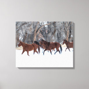 Herd of Horses Running in Winters Snow Canvas Print