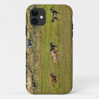 Herd of Horses Running on a BC Ranch