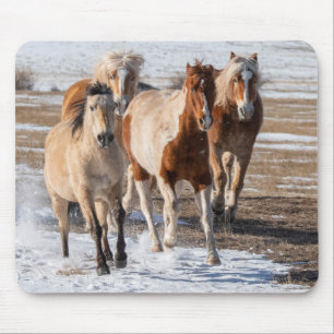 Herd of Mixed Breed Horses Running in the Snow Mouse Pad