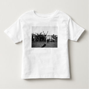 Herd of Reindeer in Alaska Photograph Toddler T-Shirt