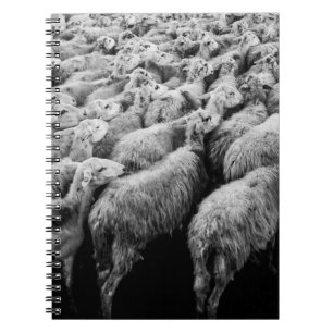 HERD OF SHEEP IN GRAYSCALE PHOTO NOTEBOOK