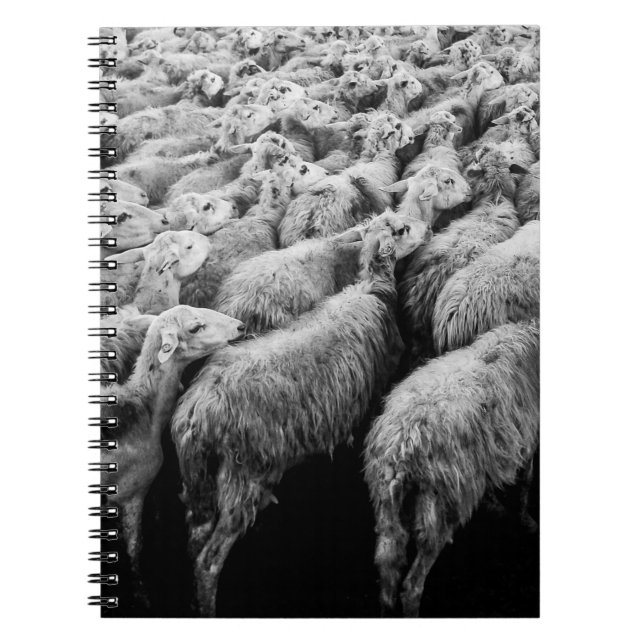 HERD OF SHEEP IN GRAYSCALE PHOTO NOTEBOOK (Front)