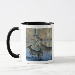 Herd of whitetail deer running through water mug
