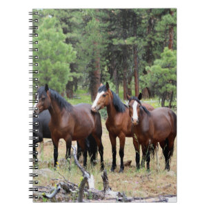 Herd of wild horses notebook