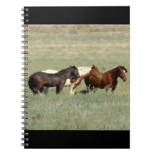 Herd of wild horses notebook