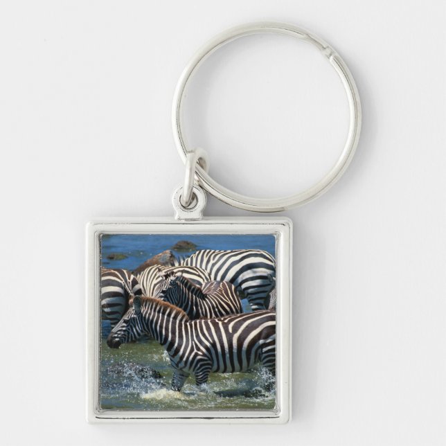 Herd of zebras 2 key ring (Front)