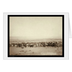 Herding Cattle at Moss Agate SD 1887