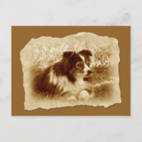 Herding Dog Vintage Sepia Tones