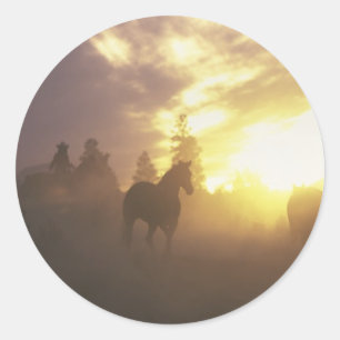 Herding Horses in Sunset Classic Round Sticker