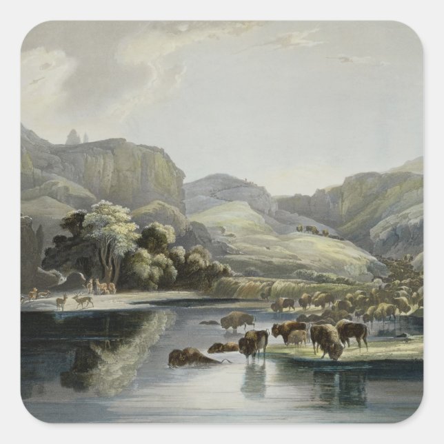Herds of Bison and Elk on the Upper Missouri, plat Square Sticker (Front)