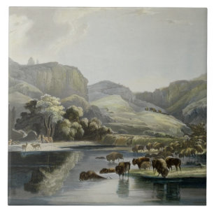 Herds of Bison and Elk on the Upper Missouri, plat Tile