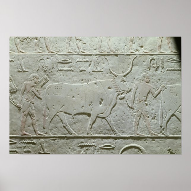 Herdsman leading a bull poster (Front)