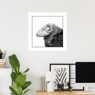 Herdwick Ram in Duffel Coat (Snow) Poster