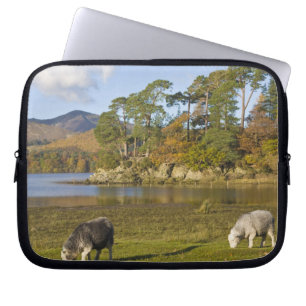 Herdwick sheep at Friars Crag, Derwentwater, 2 Laptop Sleeve