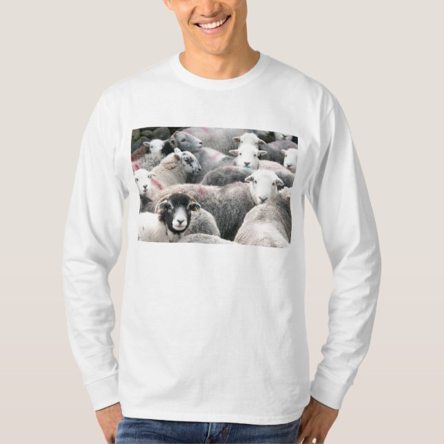 Herdwick Sheep T-Shirt (Front)