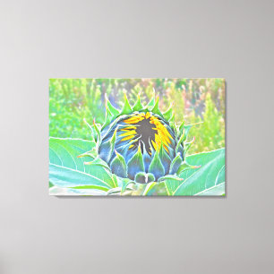 Here Come the Sun Stretched Canvas Print