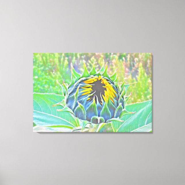 Here Come the Sun Stretched Canvas Print (Front)