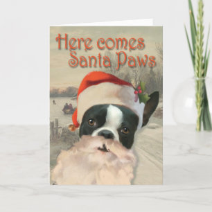 Here Comes Santa Paws Holiday Card