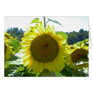 Here Comes the Sun--Card