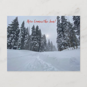 Here Comes the Sun! Postcard
