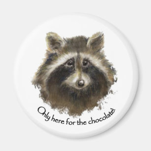 Here for the Chocolate, Cute Racoon, Animal Magnet