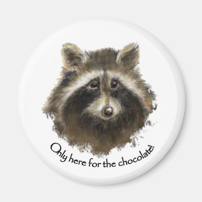 Here for the Chocolate, Cute Racoon, Animal Magnet (Front)