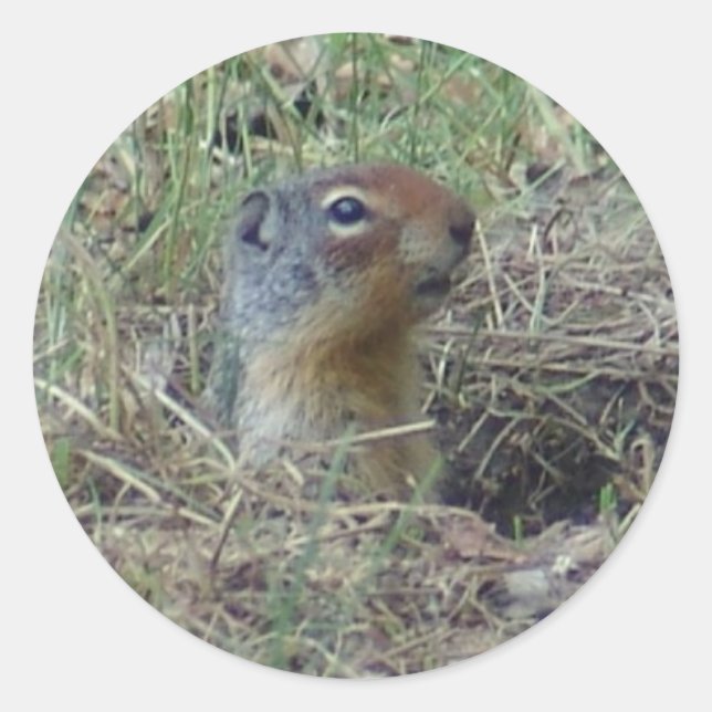 Here I am Classic Round Sticker (Front)