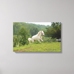 Here I Come Canvas Print