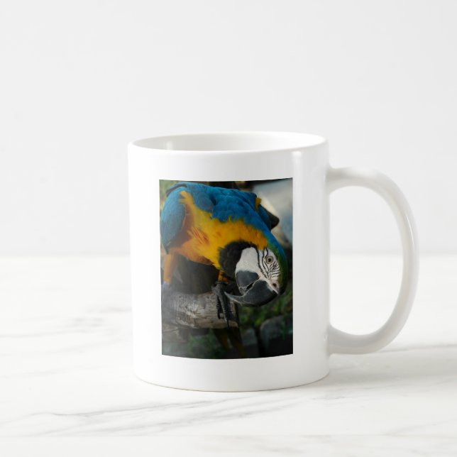 here is looking at you coffee mug (Right)